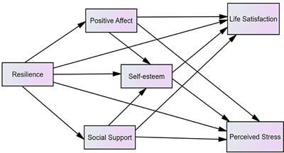 How Resilience Promotes Mental Health of Patients With DSM-5 Substance Use Disorder? The Mediation Roles of Positive Affect, Self-Esteem, and Perceived Social Support